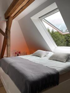 DESIGN-Studio CHURCH 46