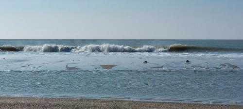 Détente à la mer