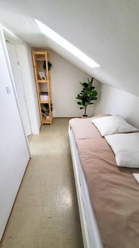DG R: Helle 40m² 2-Zimmer Wohnung nähe Salzburg