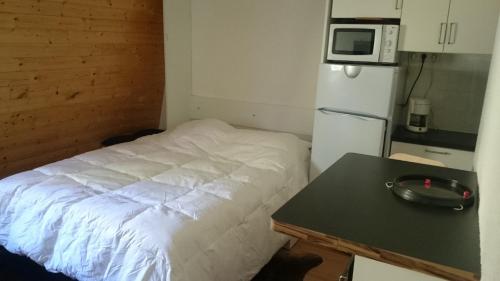 Appartement Diamant 3 F 3 rue terre de venosc 38860 Les Deux Alpes Rhône-Alpes