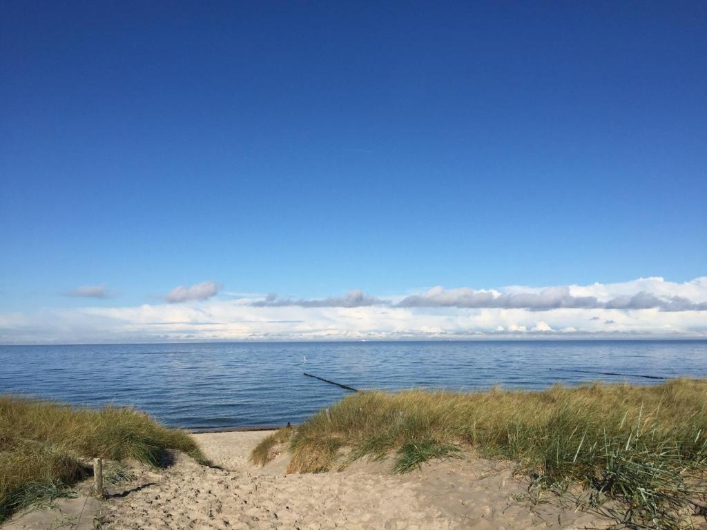 Appartement Die kleine Acht - direkt am Strand 2 Waldweg Ebenerdig 18347 Dierhagen