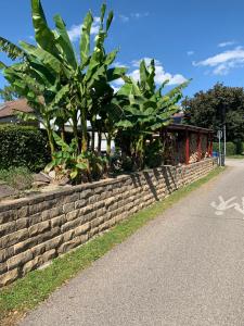 Appartement Die Panorama-Wohnung-im-Grünem 34 Ackerweg 78476 Allensbach Bade-Wurtemberg
