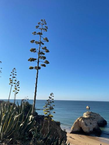 Dolce Vita Apartment Portimao