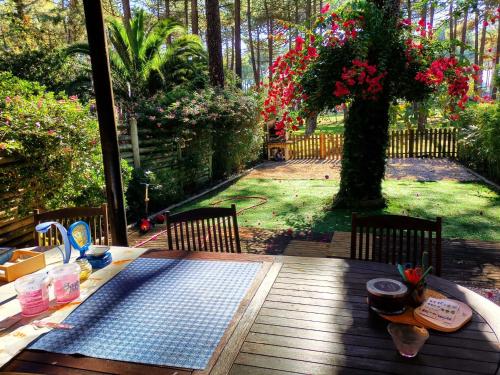 Dolphin Aroeira Beach Villa