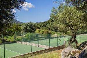 Domaine d'Arca-Porto-Vecchio-T2-2 personnes- Hugo 6