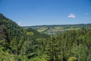 Domaine de Malpas