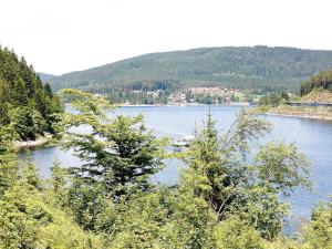 Domicil Schluchsee