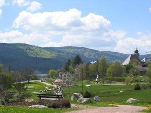 Domicil Schluchsee