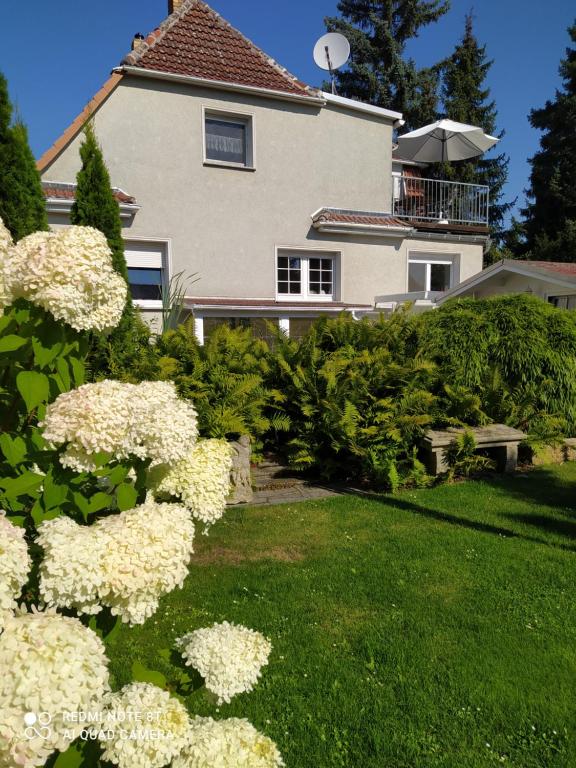 Domizil der Sinne 29 Stangengärtenstraße, 04924 Bad Liebenwerda