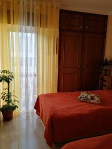 Dona Ana beach place