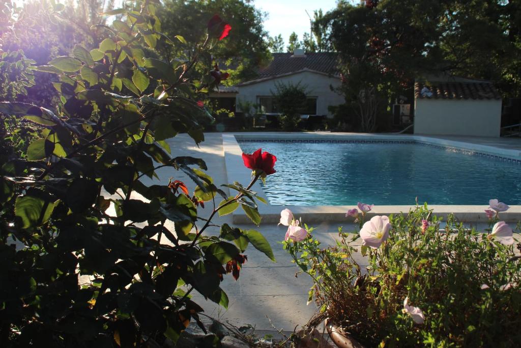 Double Room Dunas de Alvor Pool