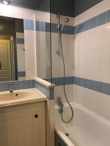 Douchka - Appartement Piscine Parking -