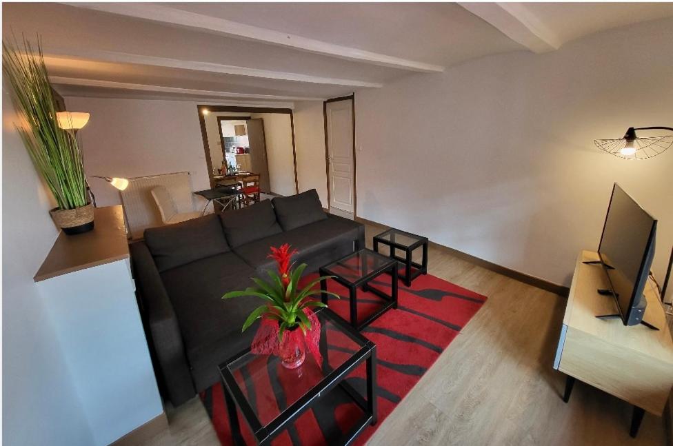 Appartement Doux Refuge 46 Rue Saint-Gilles 43000 Le Puy-en-Velay