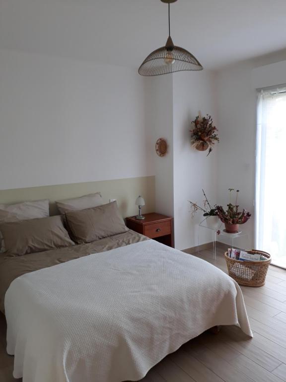 Doux Refuge 43000 Le Puy-en-Velay