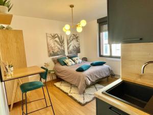 Appartement DOWNTOWN COCOON - CENTRE VILLE - WiFi - NETFLIX 8 Rue Lavalard 80000 Amiens Picardie