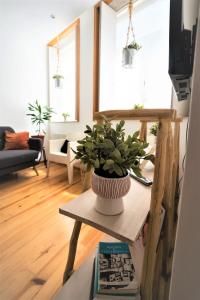 Downtown Porto Relaxed Apartment with Private Yard