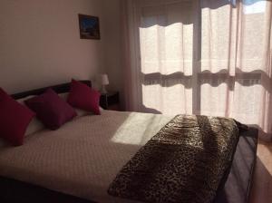 Downtown Sunny Apartment