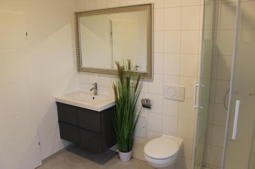 Dünenhaus Wohnung 8