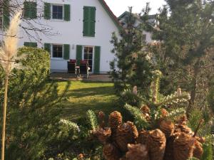 Dünenresidenz Karlshagen - Ferienwohnung Lindenweg 4d