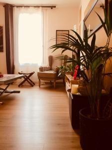 DUPLEX 52m2 hyper centre, petite TERRASSE exposée Sud - NETFLIX, CANAL Séries & AMAZON PRIME Vidéo