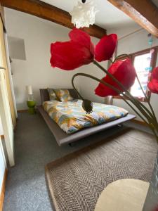 Duplex Arago au coeur de Sète, comme une petite maison