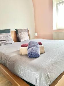 Duplex atypique proche gare & centre ville