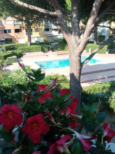 DUPLEX CAP D AGDE PISCINE