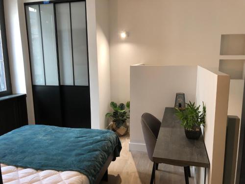 DUPLEX COSY HYPER CENTRE CHOLET