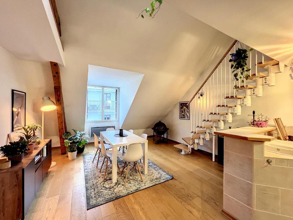 Duplex en coeur de ville 15 Rue Albert 1er, 73100 Aix-les-Bains