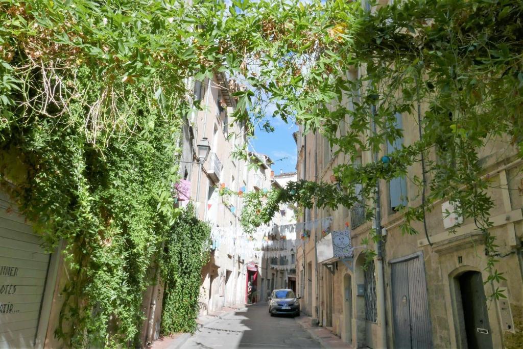 Appartement Duplex en plein cœur de Montpellier 19 Rue Roucher 34000 Montpellier