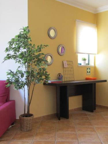 Duplex Sol Nascente