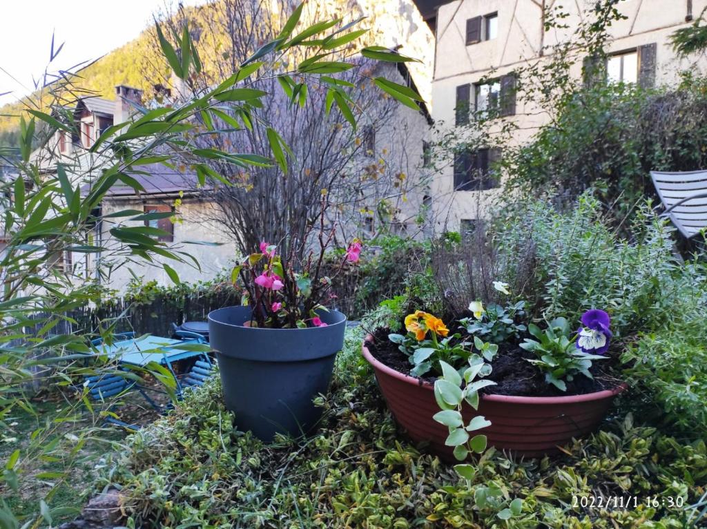 duplex vieille ville, à partager avec un chat 12 Rue du Son du Serre, 05100 Briançon