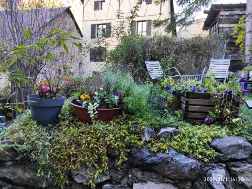 duplex vieille ville, à partager avec un chat