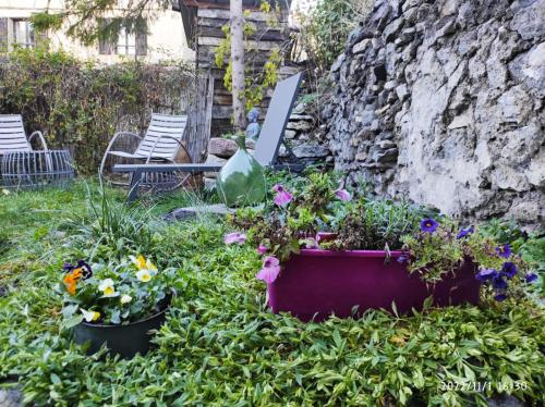 duplex vieille ville, à partager avec un chat