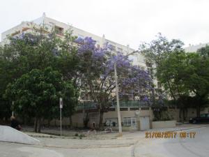 Appartement Edificio Caravela C Rua Alvaro Gomes Ed Veleiro Lote 6   4 A 8365-121 Armação de Pêra Algarve