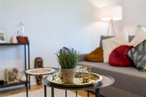 EG Mitte Wunderschöne 68m² große 2-Zimmer City Wohnung nähe Salzburg