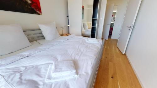 Eichenhain Seepferdchen