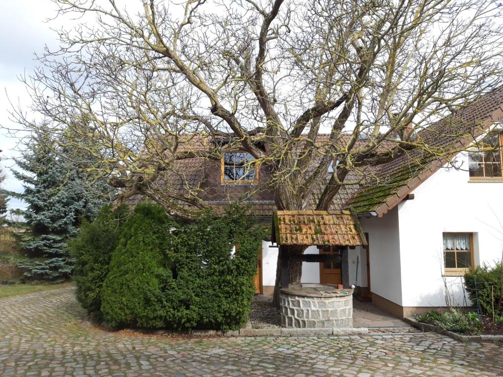 Appartement Ein Bett im Kornfeld - Haus Morgensonne - mit Innenpool 35 Trittelwitz 17111 Schönfeld