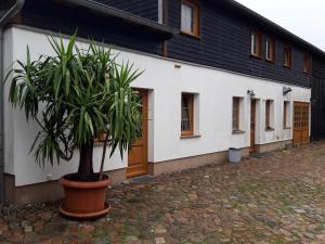 Ein Bett im Kornfeld - Haus Morgensonne - mit Innenpool