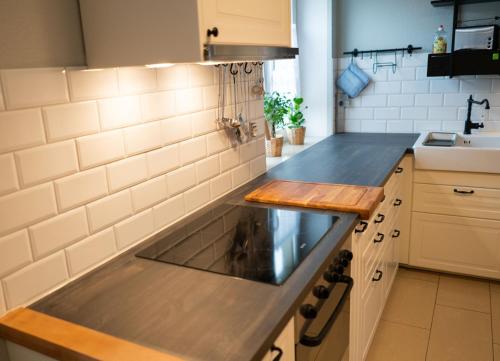 Elbtal-Apartment