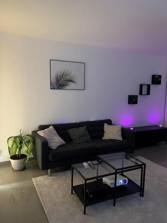 Élégant studio à côté du Parlement 67000 Strasbourg