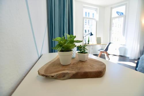 Elephant Apartment im Kultviertel