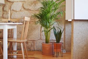 Elisa Apartment