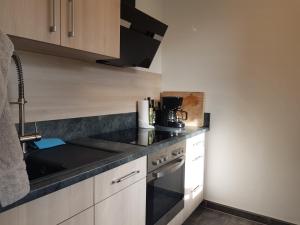 Appartement Elisenstrasse - Elbe und Terrassenufer, 34 qm 44 Elisenstraße 6. 01307 Dresde Saxe