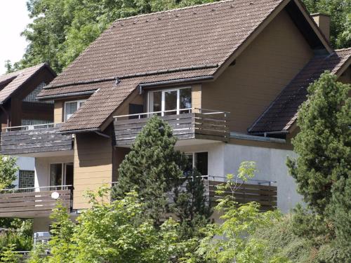 Elite Apartment in Sankt Andreasberg near Ski Area