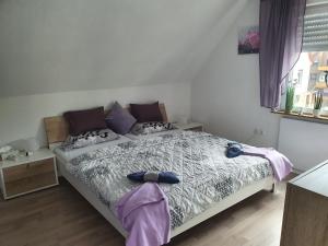 Ella's Wolke Appartements - EW3