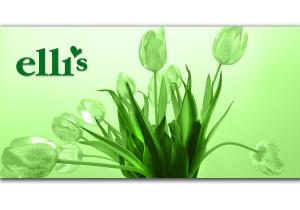 elli's
