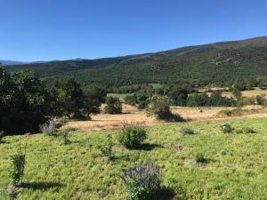 Els Pirineus