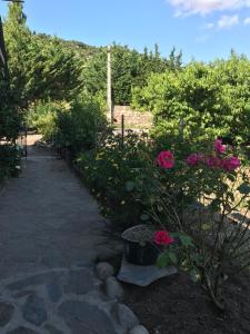 Els Pirineus