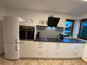 Appartement Elviras Apartment 13 Sudetenstraße 78224 Singen Bade-Wurtemberg